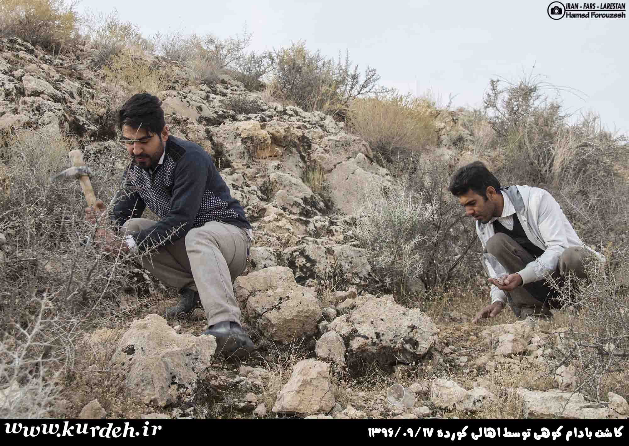 تصویر وجود ندارد